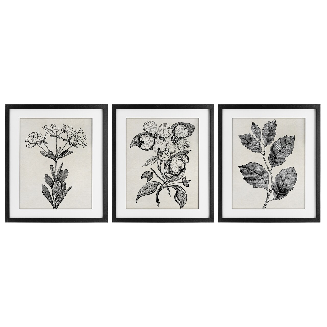 Stupell Industries Classic Natural Botanicals 3pc Framed Print Under Glass Set, design by Karen Smith